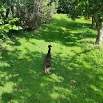 Cozy At The Base Of Sale And Ling Fell Prázdninový dům