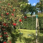Cozy At The Base Of Sale And Ling Fell *